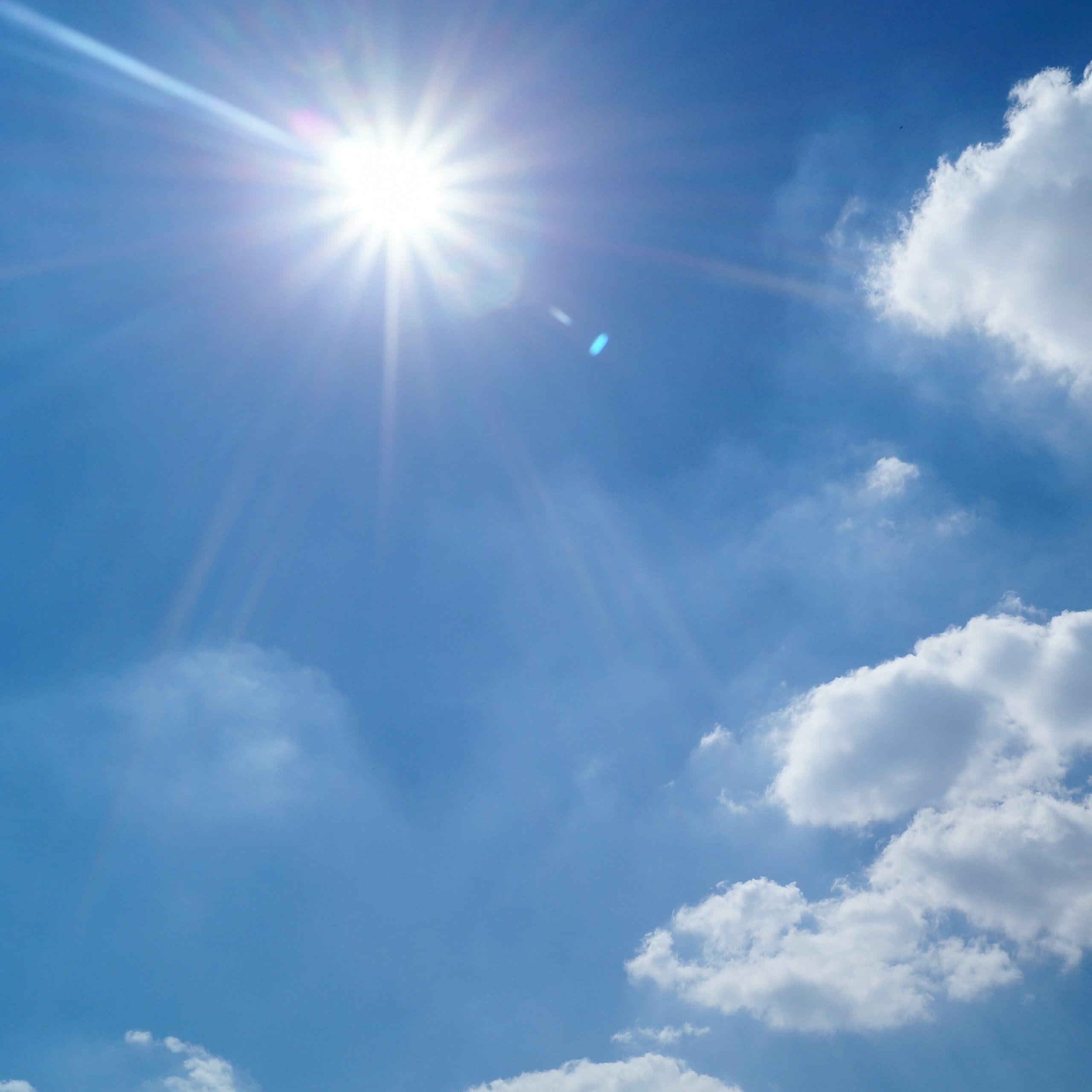 Assessing the Value of Window Film