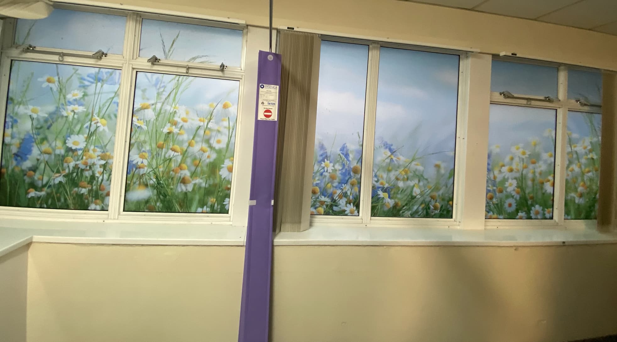 Full colour printed graphics onto frosted film